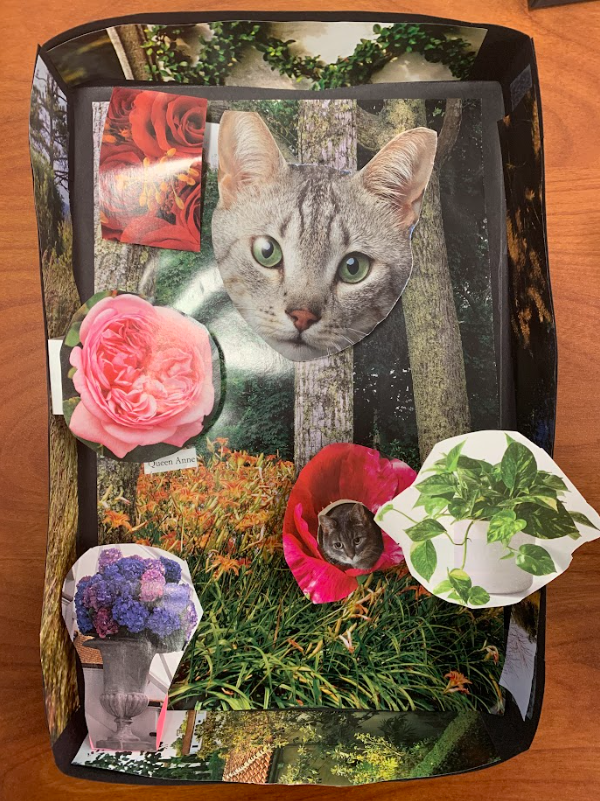 student art of nature with a cat